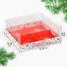 Коробка для 4х муссовых пирожных 17,8х17,8х6,5 см с прозрачной крышкой "Волшебного Нового года" (на 4 шт)   
