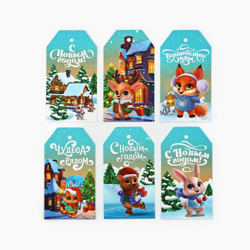 Набор бирок "Чудеса рядом", 5*9см / 6 шт