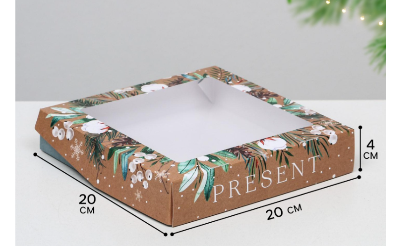 Коробка 20х20х4 см с окном "Present"  