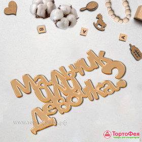 Декор из акрила &quot;Мальчик или девочка?&quot;, золотой   / 10х6 см