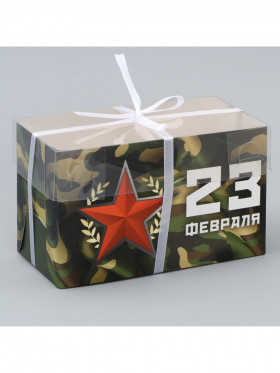 Коробка для 2 капкейков с прозрачной крышкой "23 Февраля"